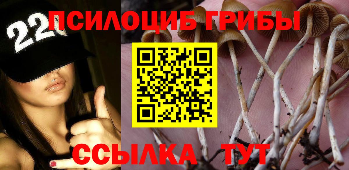 Псилоцибиновые грибы ЛСД Сибай