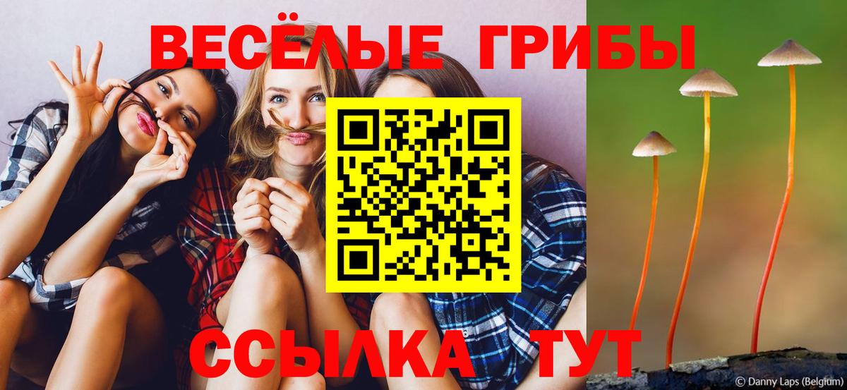 Сибай  Псилоцибиновые грибы прущие грибы  наркота  Вход с VPN  Псилоцибиновые грибы Magic Shrooms 